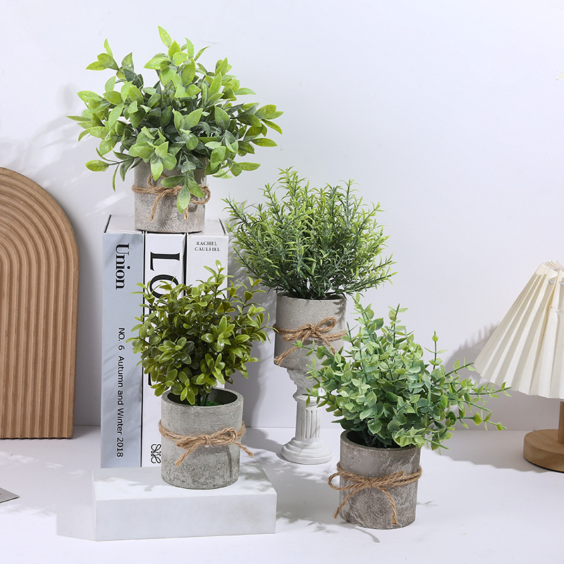 Цилиндрическое растение в горшке для стола креативные зеленые растения