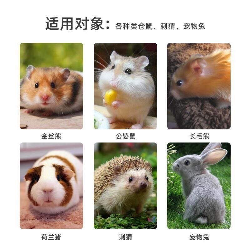 Biyiqi Hamster Deodorizing Urine Sand Best-Selling Golden Bear Rabbit Chinchilla Universal Toilet Dust-Free Deodorizing