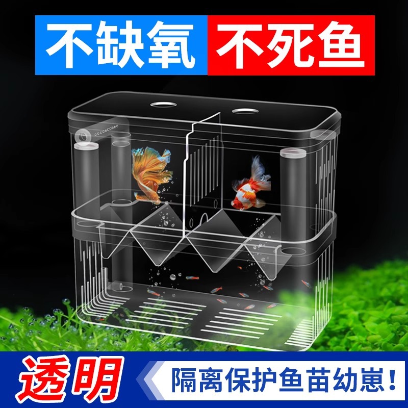 Fish tank incubation box guppy bucket fish isolation box small fish tank fry small fish ovipositor aquarium flushing oxygen breeding box