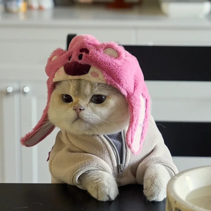 Pet Three-Eyed Boy Headgear Starfish Snapper Hat Piglet Chicken Cat Bear Panda Headgear Funny Dress up