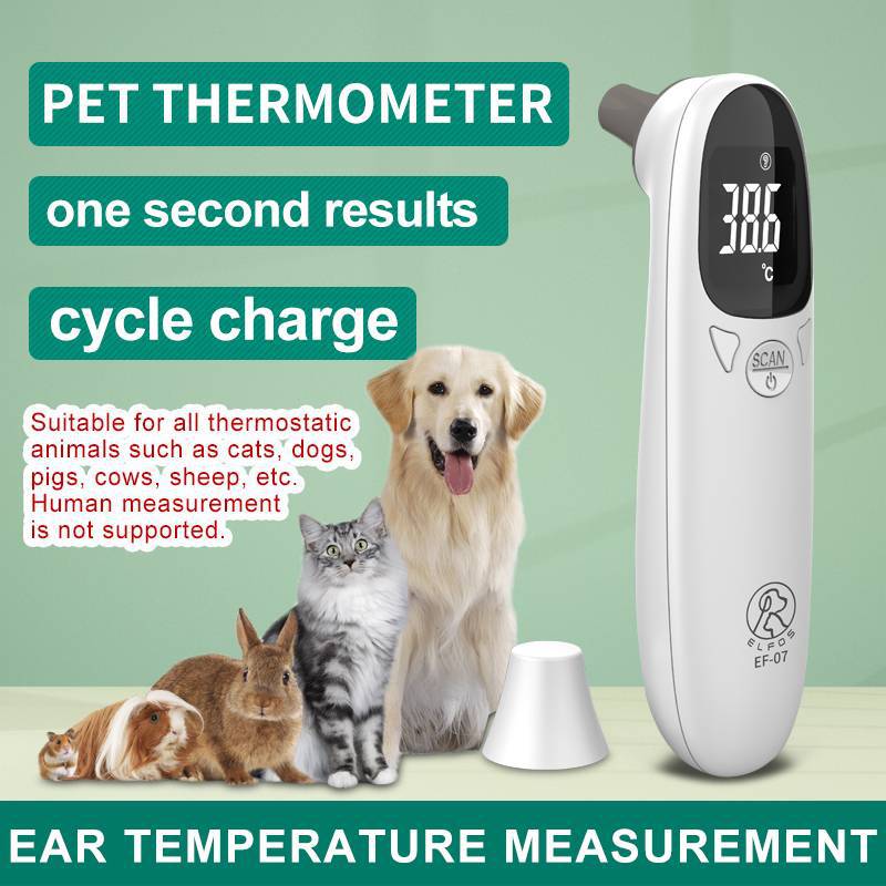 Pet Thermometer Thermometer Cat Thermometer Dog Thermometer Export