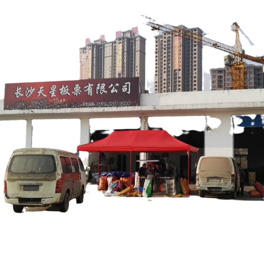 Wholesale Fresh Chestnuts for Roasting/Yunnan Sweet Chestnuts/Guangxi and Guizhou Raw Oil Chestnut Seeds, Large Chestnuts Freshly Picked and Roasted