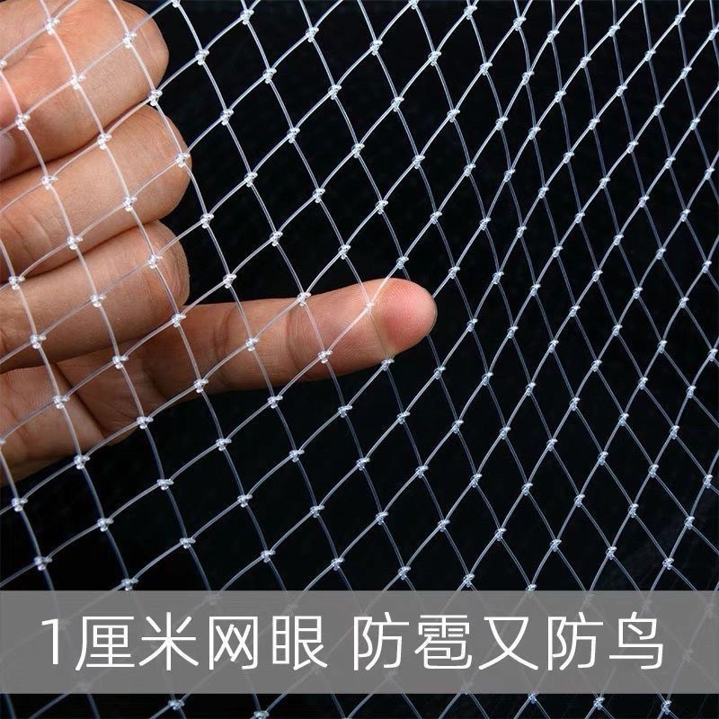 Small Mesh Bird-Proof Cover, Bird-Proof Net, Grape Orchard Hail-Proof Net, Blueberry Cherry, Jujube Fruit Nylon 1cm Mesh