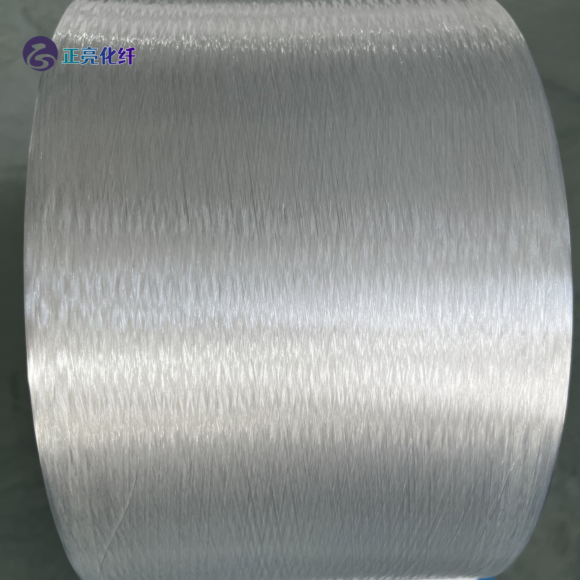 Glossy Nylon Shiny Triangular Special-Shaped Filament Synthetic Fiber Single Yarn Clothing Fabric Premium Source Manufacturer Special-Shaped Fiber