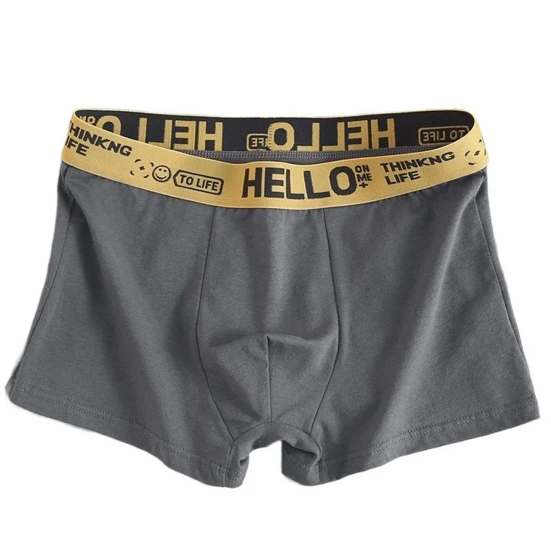 [Store Manager recommend] Men's Underwear Comfortable plus size Simple Men's Boxer Boxer Shorts Pants Small Chai Purchase