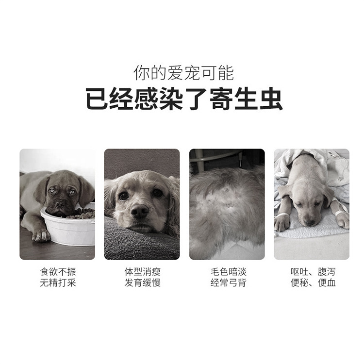 Pet Medicine, in Vitro Anthelmintic Drug, Dog Flea Removal, Cat Tick Removal, Lice Removal, Abamectin Drops