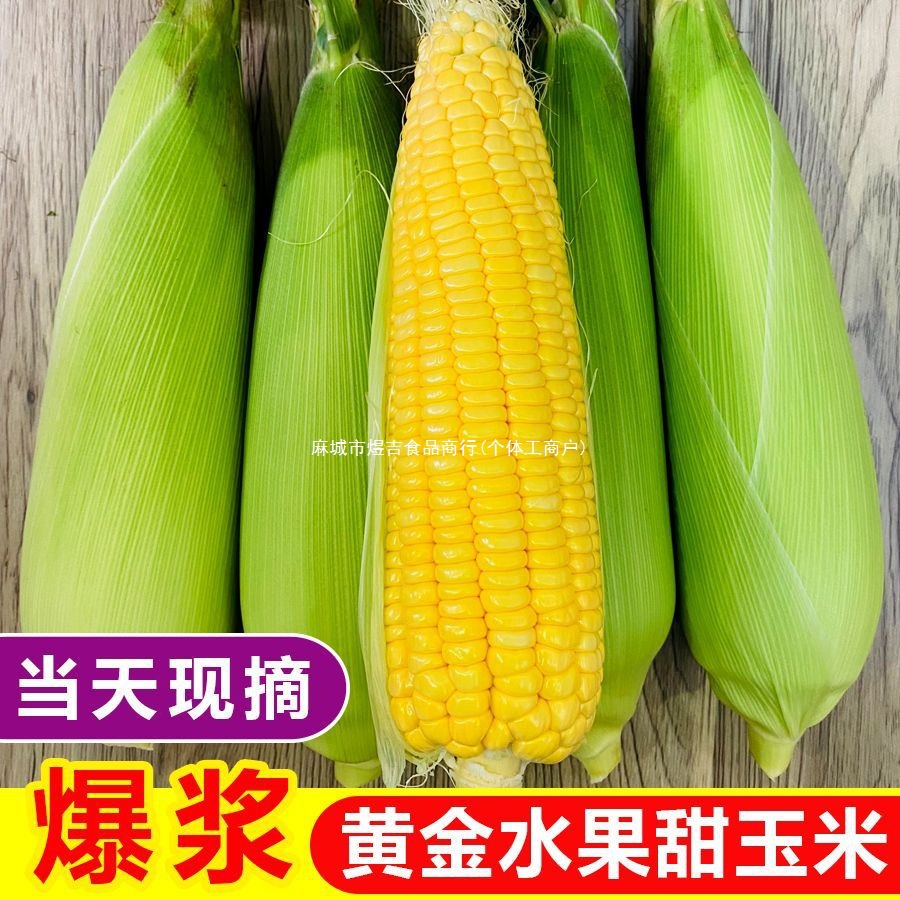Свежее кукурузное молоко, только что собранная фруктовая кукуруза, для сырого употребления, оптовая продажа сладкой кукурузы от производителя, 2 фунта, 10 початков, полных сока