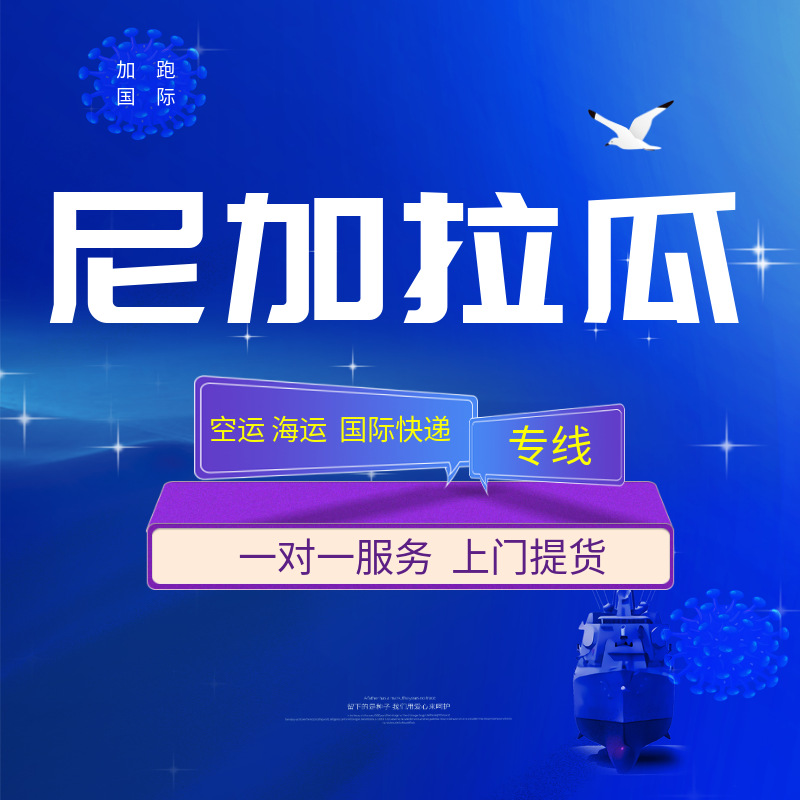 Международные авиаперевозки Никарагуа Экспресс Двойная очистка Налог включен Глобальная международная логистика Грузоперевозки