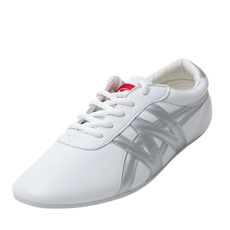 Daye Prosperity Martial Arts Competition Performance Shoes Tai Chi Practice Shoes Tbottomon Sole Men's and Women's Spring and Autumn Breathable Lightweight W Shoes