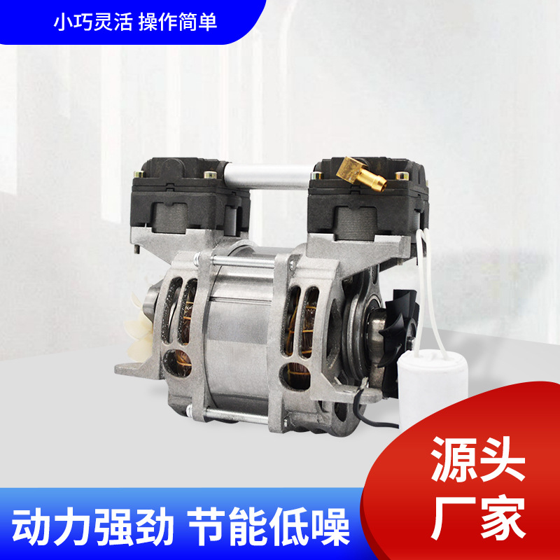 Overseas Electromechanical Manufacturer Direct Supply Oil-Free Oxygen Production Silent Small Household Oh160A Portable Air Pump Air Compressor Series
