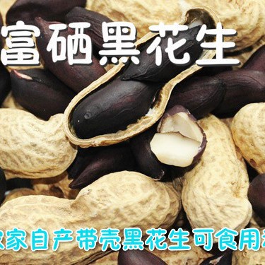 Shandong now picks new nuts farm black peanut with shell black skin purple skin raw peanut 500g