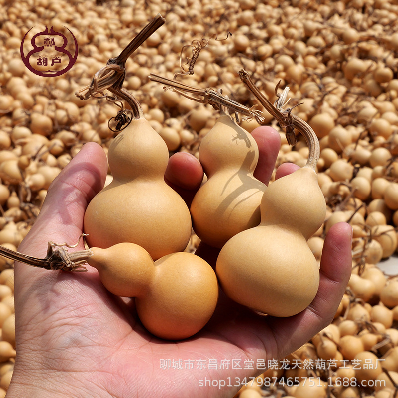 Новинки 2025 года: игрушки в виде тыквы, натуральные денежные ornaments, небольшие тыквы, ручная работа, оптовая продажа