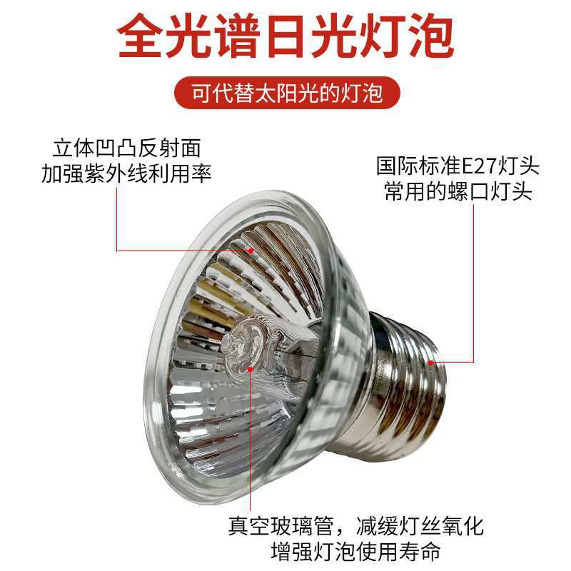 Quail Chick Heat Lamp Chick Brooding Heating Winter Warming Farm Thermostat Heating Bulb