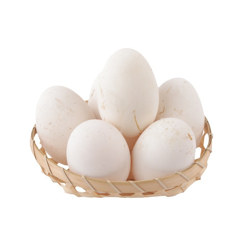 Free-Range Native Goose Eggs, Fresh for Pregnant Women, 12 Farm-Raised Goose Eggs, Freshly Picked and Ready to Eat