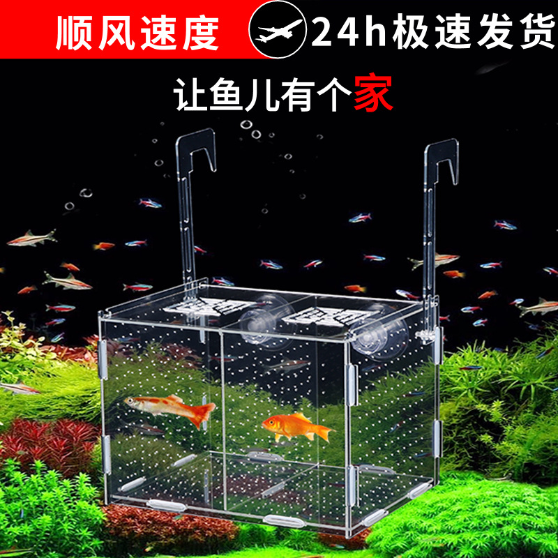 Изоляционная коробка для аквариума, акриловый инкубатор, разделительная коробка для рыб