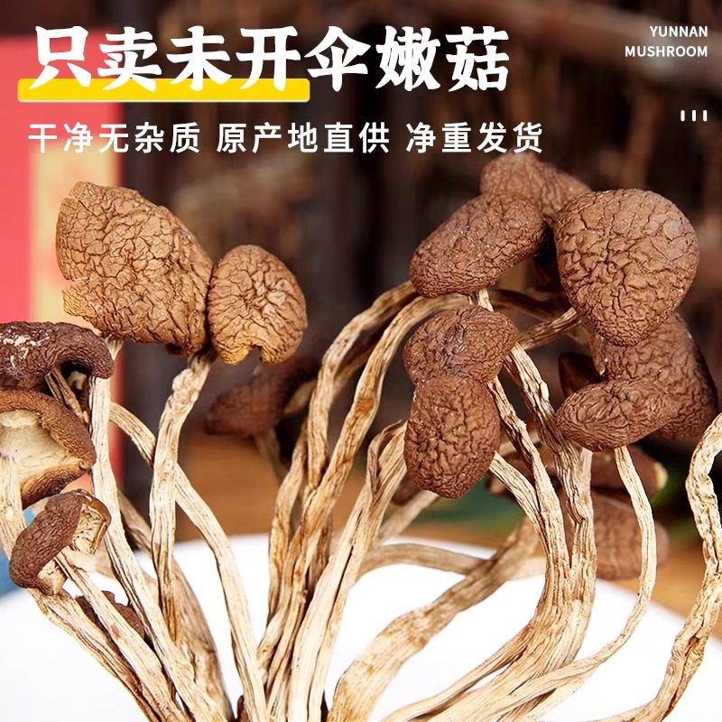 2025 Yunnan Farmhouse Dried Tea Tree Mushrooms Selected Unopened Umbrella Cut Root Fresh Tea Tree Mushrooms Shiitake Mushrooms 250g
