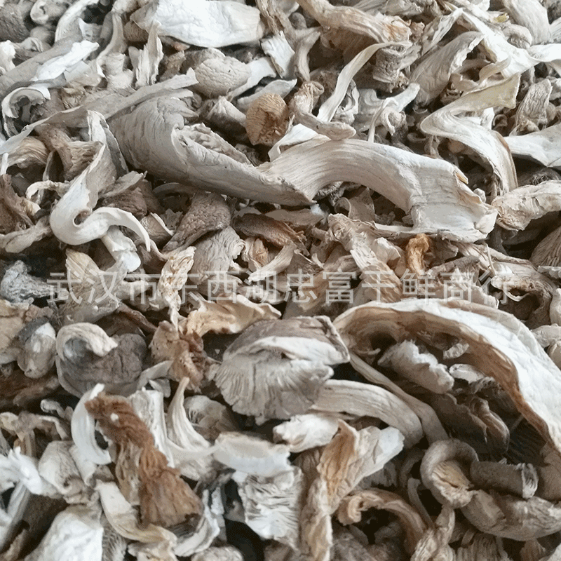 500g of Shiitake Mushroom Fragments Wholesale, Abalone Mushroom, Shiitake Mushroom/Pleurotus Eryngii, Extracted from Sauce Fillings and Powders