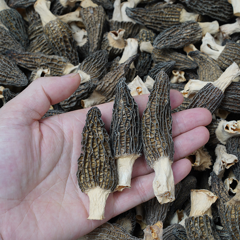 █ █ Bulk Production of White Fungus from Farmers in Gutian, Large-Flowered White Fungus, Direct Supply from the Place of Origin, Available for Dropshipping