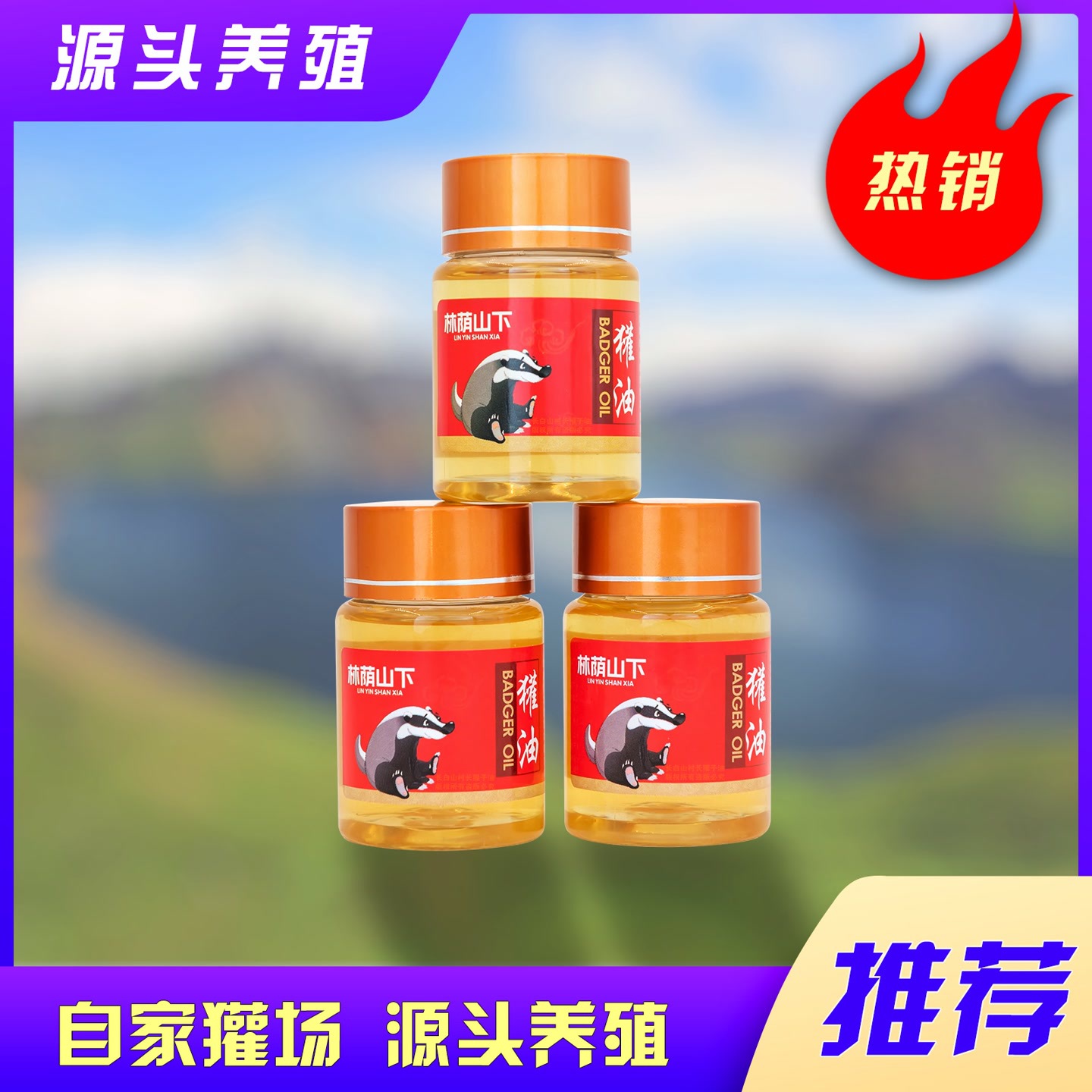 [Village Head Same Model] Changbai Mountain Badger Oil 50ml/Bottle Badger Factory Direct Supply