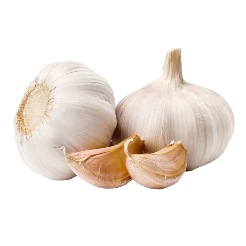 Shandong to Garlic Head Shandong Wang New Origin cm Garlic Direct Sale Farm Self-Grown Purple Garlic Wholesale