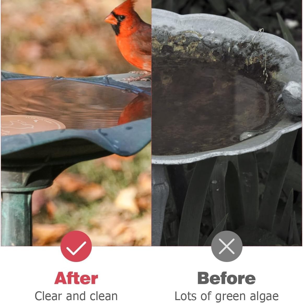 Cross-Border Amazon New Product Bird Bath Disk Bird Pool Cleaner Copper Disc