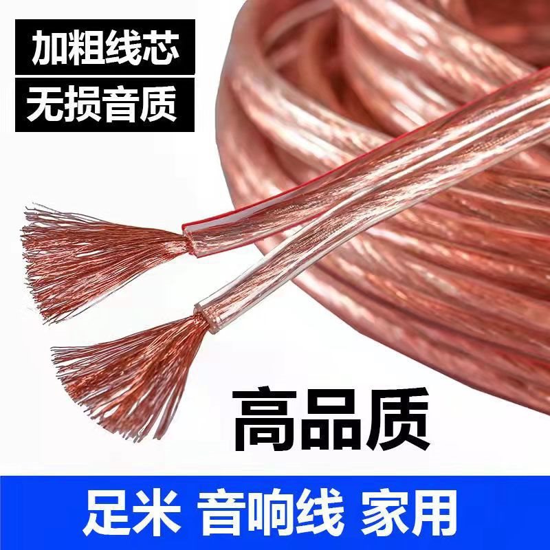 Professional Audio Cable Speaker Cable Speaker Cable Audio Cable Link Cable Audiophile-Grade Amplifier Car Surround Cable Universal