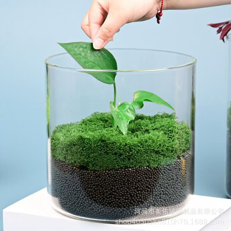 Glass Jar Landscape Desktop Office Creative Landscaping Ornaments Vase Moss Indoor Plant Hydroponic Vase Fish Tank Bottle