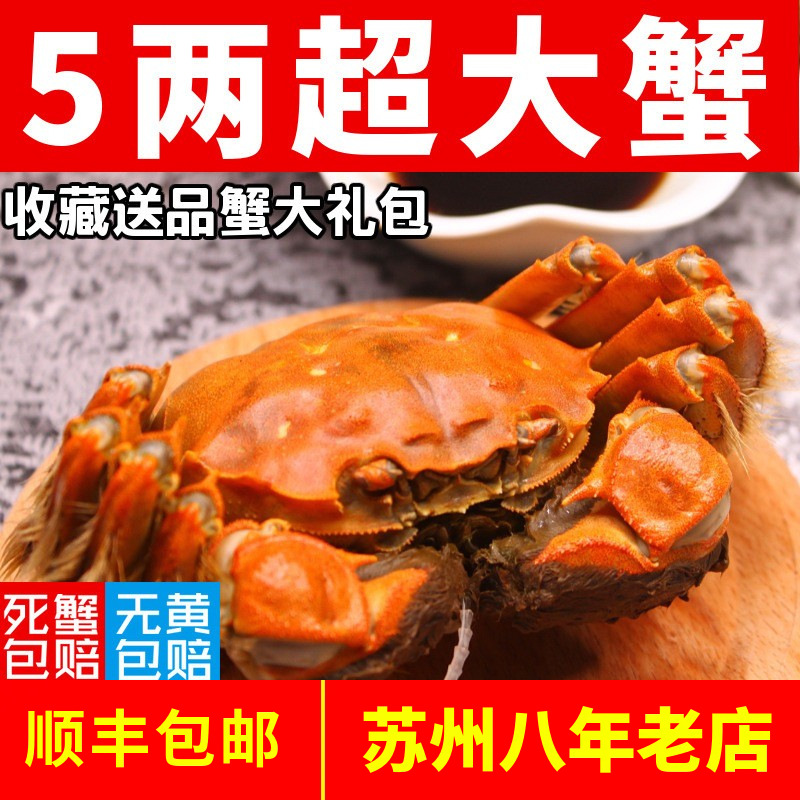 Живые волосатые крабы в наличии, свежие целые мужские и женские крабы в подарочных коробках, доставка через Sf Express с бесплатной доставкой