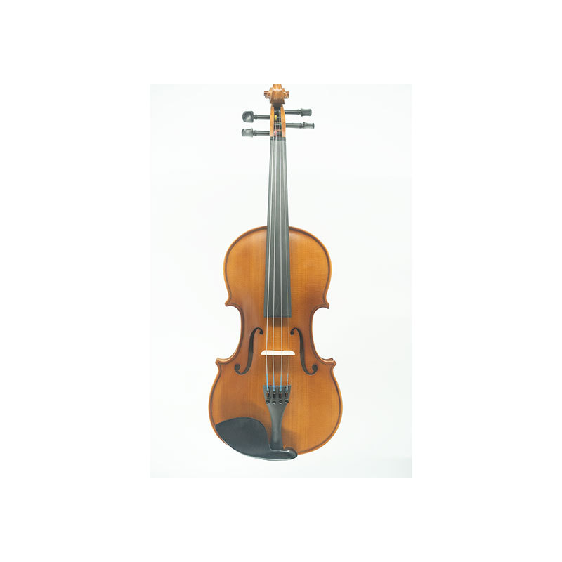 Children's Beginner Violin Grade Examination, Adult Student Practice Playing, Professional Grade Violin Manufacturer Entry Grade Examination