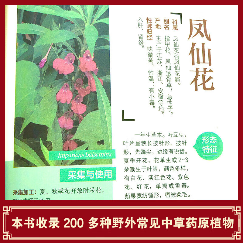 Identification and Application of Chinese Herbal Medicine in the Field