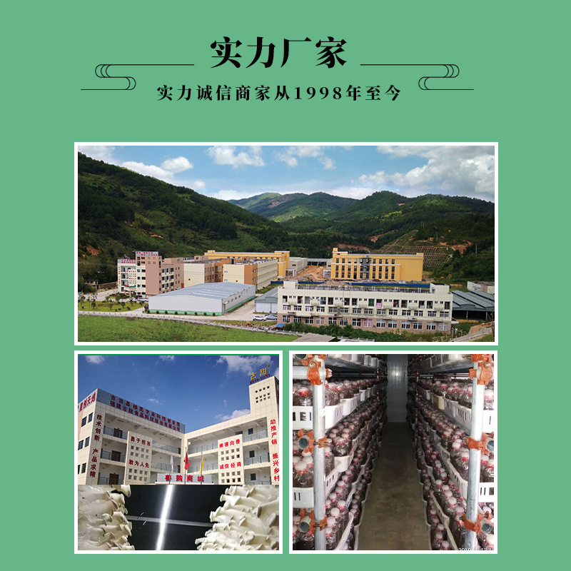 Ancient chicken leg mushroom dry goods wholesale 1kg mushroom Xinxiu chicken leg mushroom dry goods all kinds of edible fungi wholesale