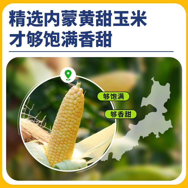 American chef canned corn kernels 400g commercial baking pizza salad instant sweet fresh corn kernels instant