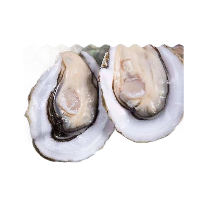 Spicy Seafood Canned Oysters with Garlic, Ready-To-Eat Small Oysters, Canned Ocean Delicacies, Deep-Sea Oysters