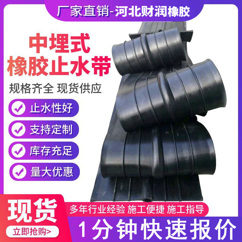 In-Ground Rubber Water Stop for Rail Transit and Subway Tunnels, In-Ground Back-Mounted Special Waterproofing