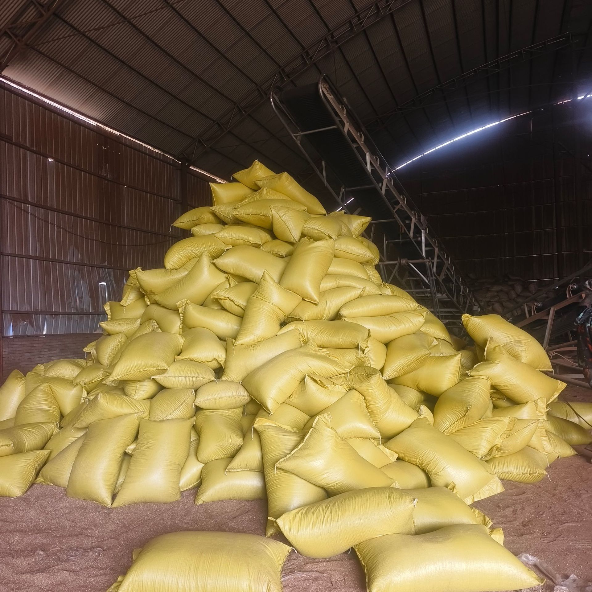 Verudin Whole Bag 1-3mm Gardening Nursery Substrate Turtle Snake Hatching Expansion Vermiculite Flower Succulent Planting Vermiculite