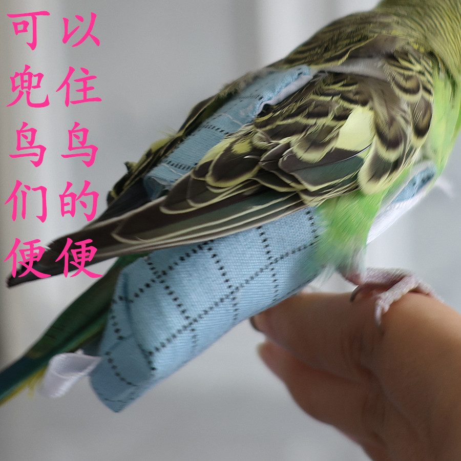 Parrot Diapers, Bird Poop Clothes, Tiger Skin Black Phoenix Peony Diapers, Adjustable Flight Suits, Pet Bird Supplies