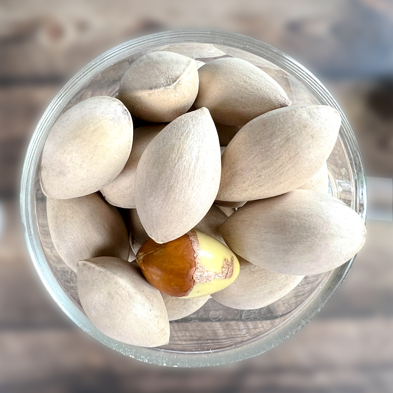 [Quality Large Fruit] 2025 Fresh Large White Ginkgo Nuts Raw Shelled Soup Sugar Water for Japanese Restaurants
