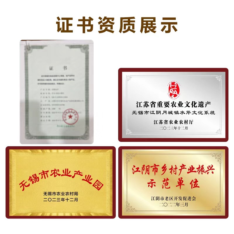 Jiangyin Specialty Huatang Water Celery, Fresh Seasonal Water Celery, Self-Grown Seasonal Vegetables, Freshly Picked Water Celery