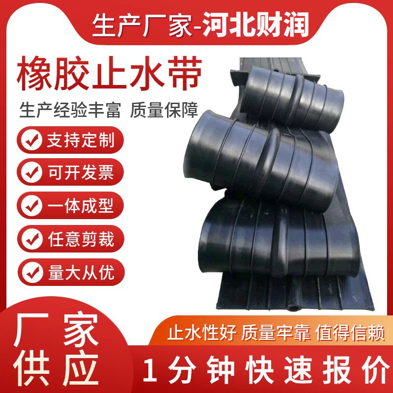In-Ground Rubber Water Stopper Type 651 Type 659 for Waterproofing in Tunnel Construction