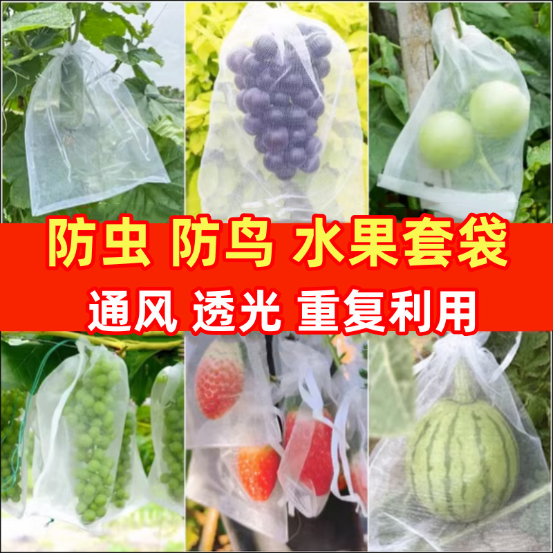 Multi-size fruit and vegetable insect-proof mesh bag strawberry tomato bird-proof protective bag transparent breathable multi-color gauze bag