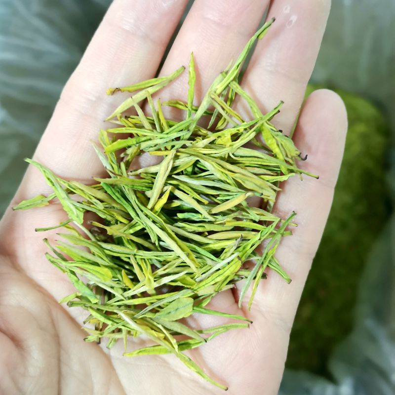 250g half jin pre-Ming milk white tea royal golden Bud golden Bud Anji Origin new tea spring tea