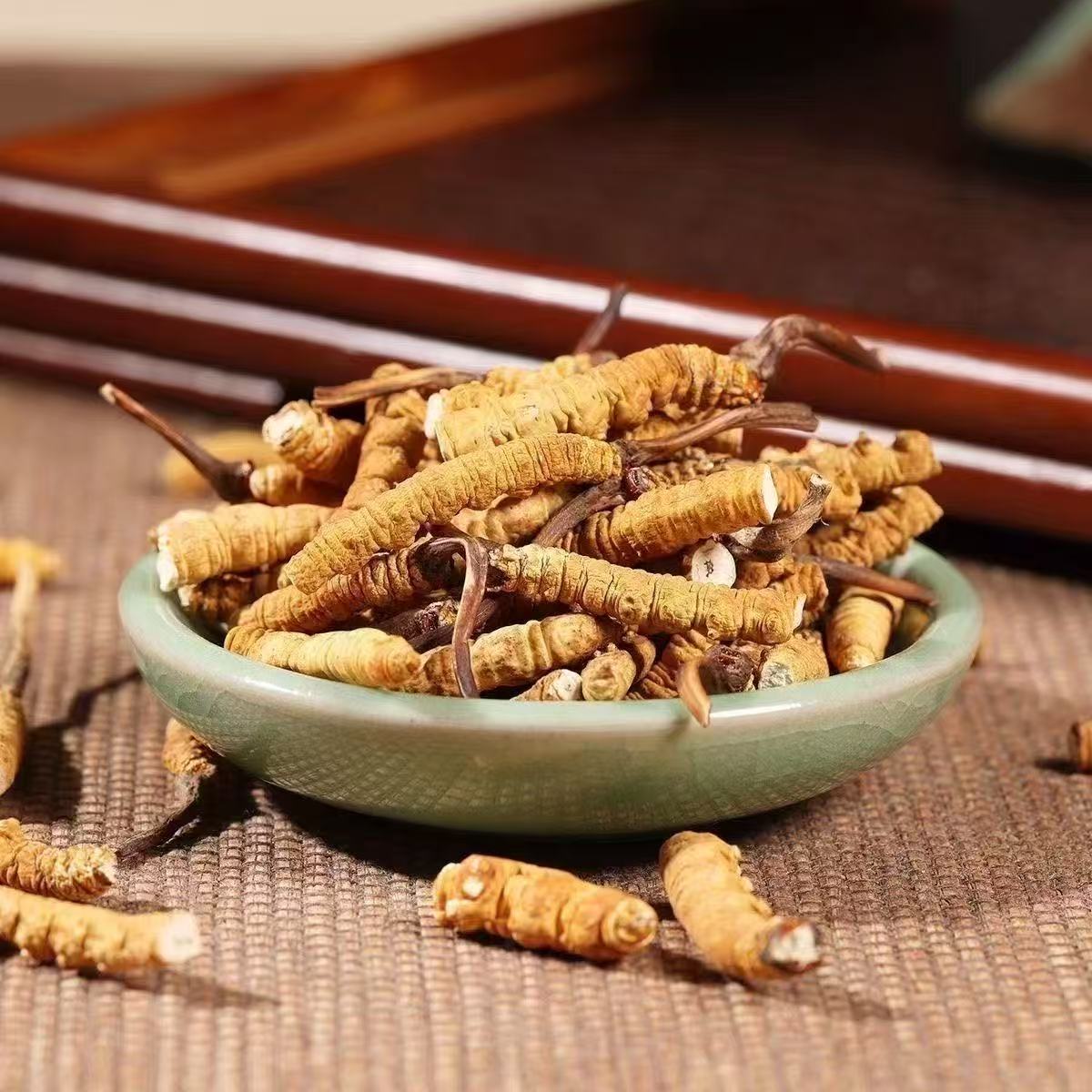 Zhen Hao's Cordyceps Cordyceps Cordyceps Cordyceps Cordyceps Cordyceps Cordyceps Cordyceps Cordyceps Cordyceps Cordyceps Cordyceps Cordyceps Cordyceps Cordyceps Cordyceps Cordyceps Cordyceps Cordyceps Cordyceps Cordyceps Cordycepacus Self-Nacus for Self-Giving Wine Gift Gift