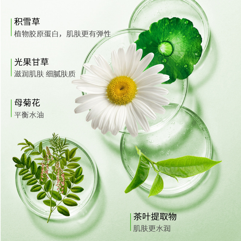 Zhengcai Curacao Aloe Vera Gel Large Jar Gel Men's and Women's Facial Cream Large Spot Moisturizing Soothing Aloe Vera Gel Wholesale