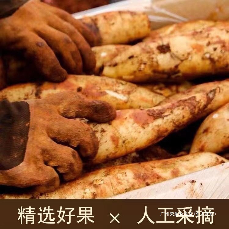 Fresh Seasonal Fruits from Tianshan: Fresh Snow Lotus Root, Yellow Heart, Yunnan Fruits, Fresh Snow Lotus Root, Fresh Direct Delivery, Third Grade