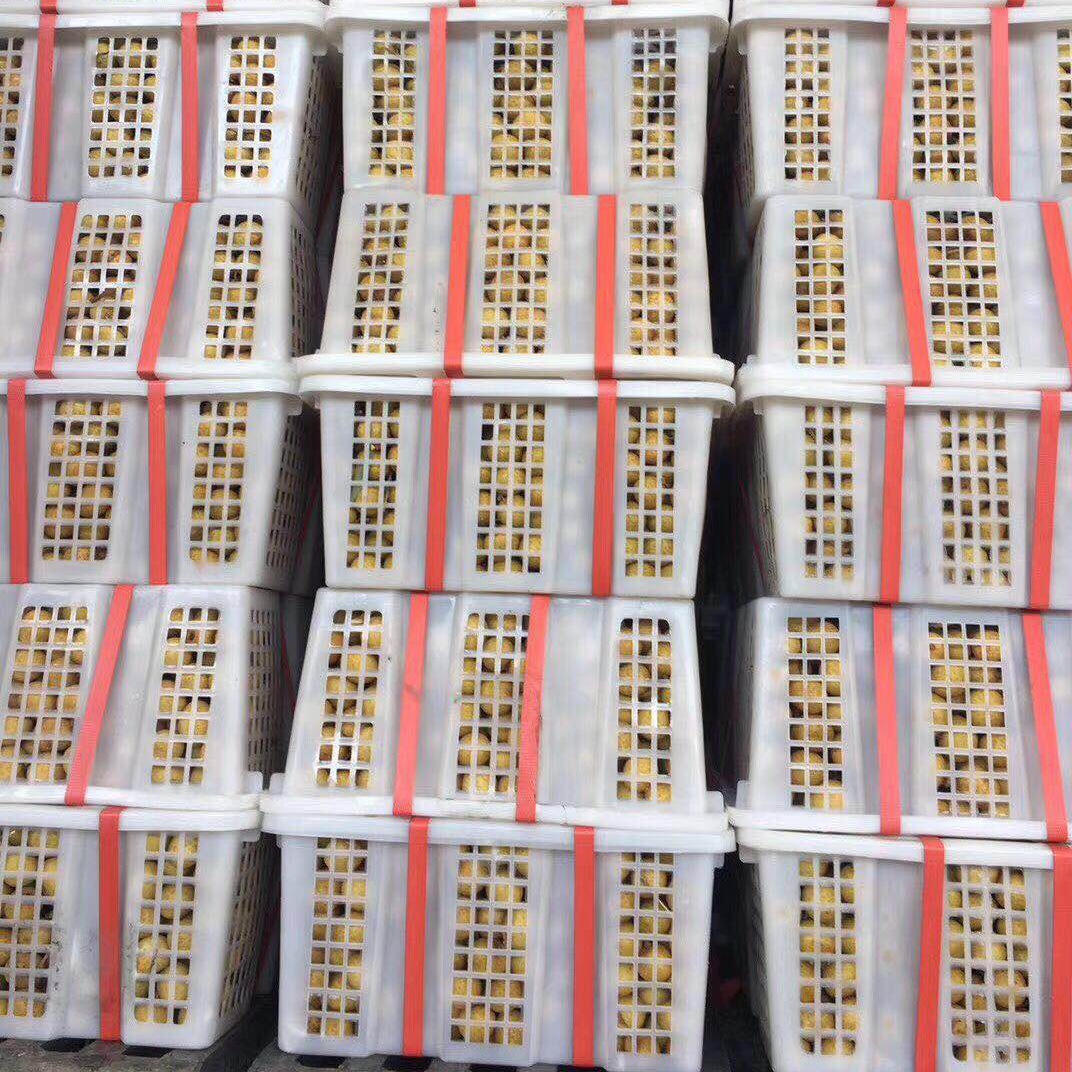 Taiyong Eye Fresh Imported Longan Tropical Fruit for Pregnant Women, 2.5kg Small Seeds, Thin Skin, Branch-Free Fresh Fruit