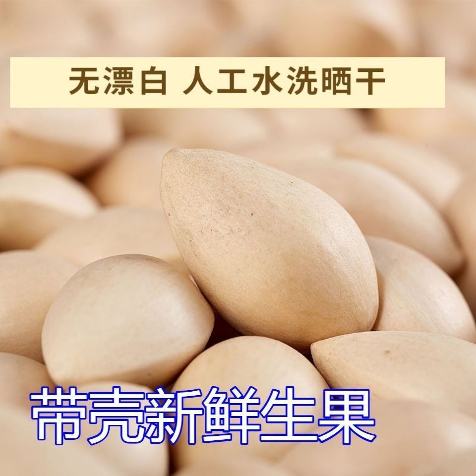 Fresh Seasonal Ginkgo Nuts from Taixing, Wholesale Packaging