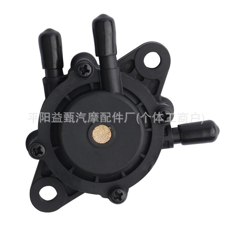 808656 491922 Fuel Pump Fits for Bs 491922 691034 692313