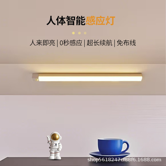 LED human body induction night light magnetic charging wine cabinet wardrobe light student dormitory cross-border strip light wholesale
