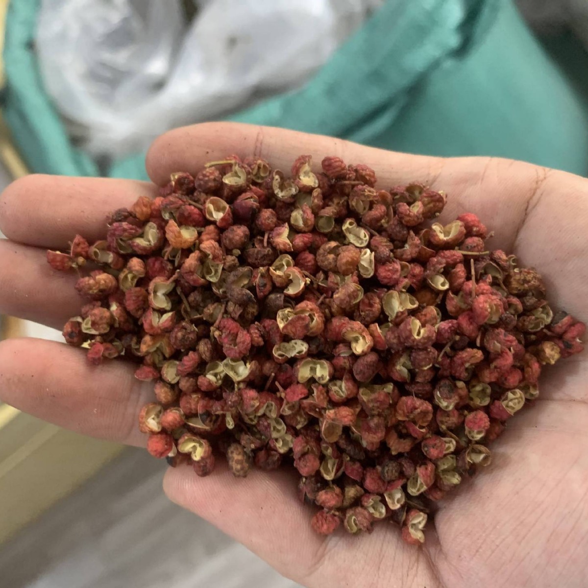 Zanthoxylum bungeanum on behalf of Hanyuan Zanthoxylum bungeanum Jinyang Green Zanthoxylum bungeanum