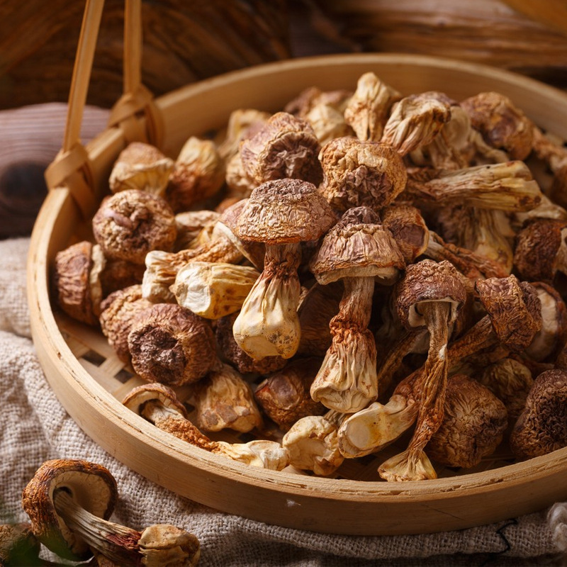 Seasonal New Arrivals Agaricus Blazei Fresh Dried Edible Fungi 500g Bulk Agaricus Blazei Brazilian Mushroom Wholesale in Stock